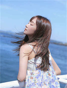 2012  免费高清