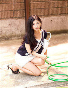 八犬传2